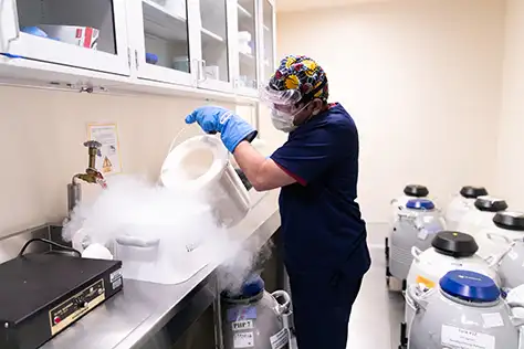 Frozen embryo storage in Dallas